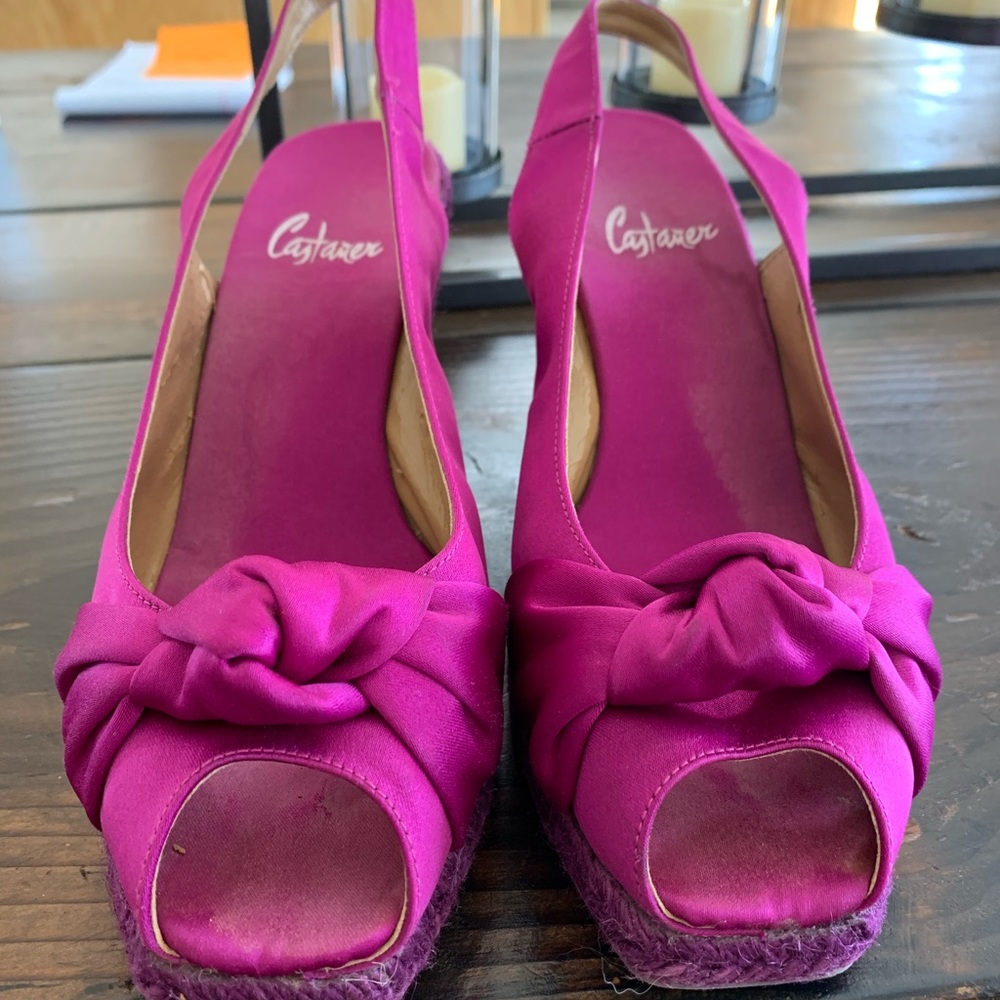 Castaner wedges